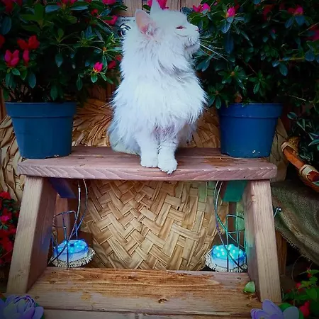 Dağ evi Enchanting In Gratillon With Mountain View And Sauna Villeneuve