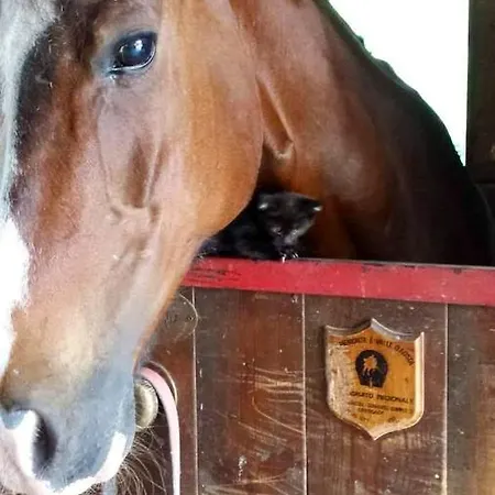 Dağ evi Enchanting In Gratillon With Mountain View And Sauna