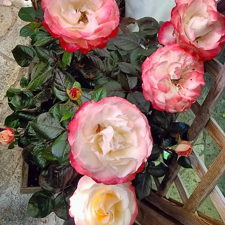 Enchanting In Gratillon With Mountain View And Sauna