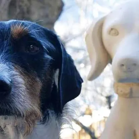 Enchanting In Gratillon With Mountain View And Sauna * Villeneuve