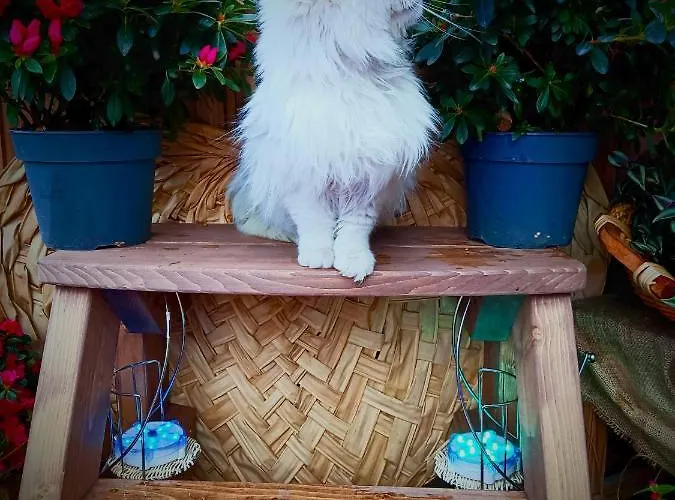 샬레 Enchanting In Gratillon With Mountain View And Sauna 빌레누베