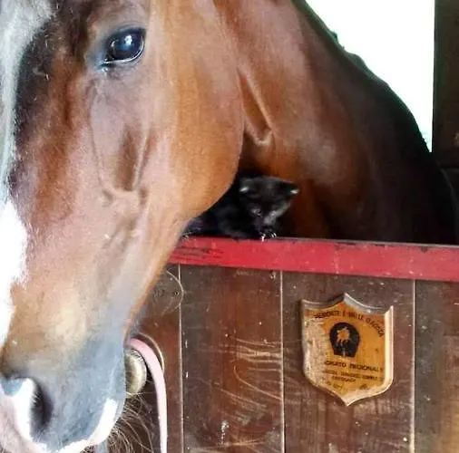 샬레 Enchanting In Gratillon With Mountain View And Sauna