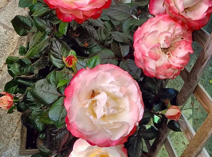 Enchanting In Gratillon With Mountain View And Sauna