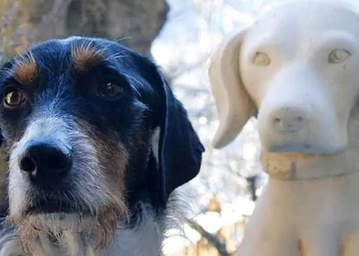 Enchanting In Gratillon With Mountain View And Sauna * 빌레누베